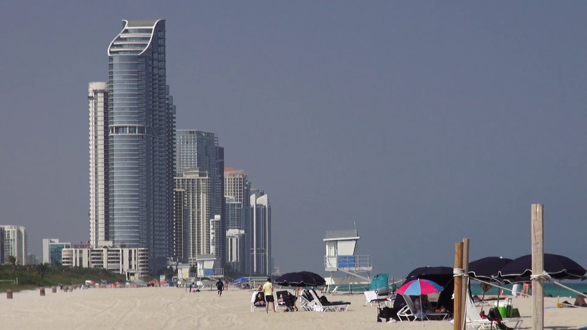 Floride : L’immobilier, les animaux et les formulaires
